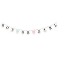 Boy or Girl Baby Onesie Banner